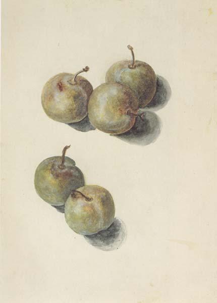 Edouard Manet Etude de cinq prunes (mk40) Sweden oil painting art